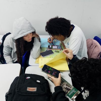 Enigmas Botânicos e o Eixo Meio Ambiente e Saúde