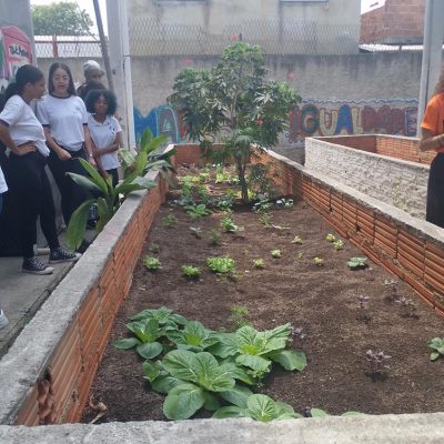 Planejamento da horta do colégio e visita a horta do Vida Real (ONG parceira e vizinha)